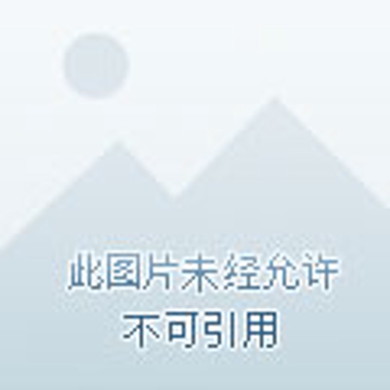 海外网络加速器：网速不再是问题